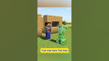 😆 Khi Tôi Troll Cả Thế Giới Minecraft! #minecraft #funny #stevedaide