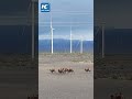 World's tallest wind-measurement tower