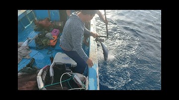 Chuyến câu jigging Biển Khơi ninh thuận. Cá Thu hàng khủng. Kéo max phê tập 3 .cực kì hấp dẫn