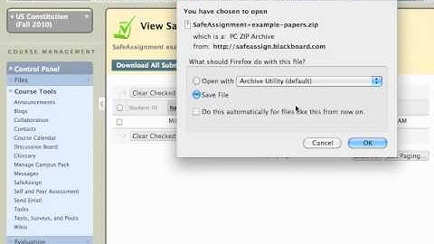 Blackboard 9: Bulk or Batch Download SafeAssignments