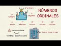 Aprender español: Los números ordinales (nivel básico)