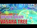 Explore the dream of the vsara tree  the rhythm that reveals the beasty trail  genshin impact