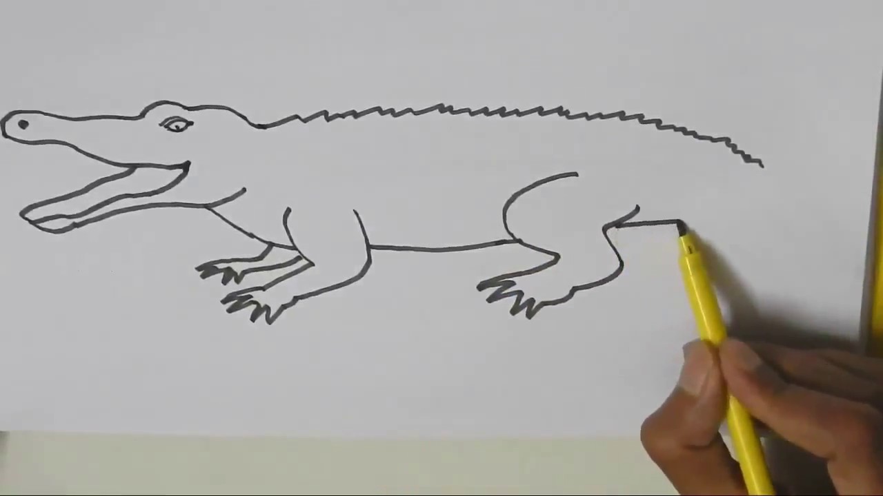 How to draw a Crocodile - in easy steps for children, kids, beginners