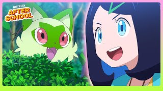 Liko & Sprigatito 🌱🐾 Pokémon Horizons: The Series | Netflix After School