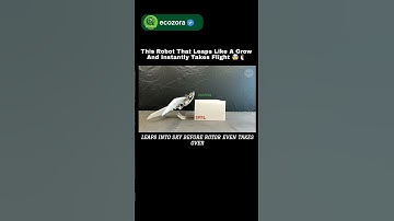 This Bird-Like Robot Jumps Before It Flies! 😱🚀 #robot #birdrobot #innovation #science #technology