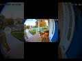 The Dog That Thinks It's Security #funnydog #dogvideo #ringdoorbell