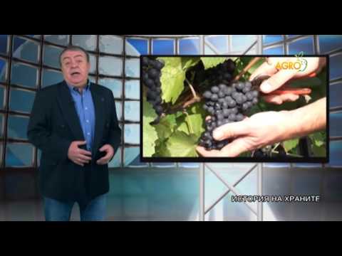 Видео: История на храните: Краставици