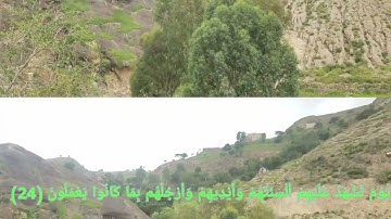تلاوة خاشعة من سورة النور بصوت الشيخ يحيى بن علي القباطي وفقه الله