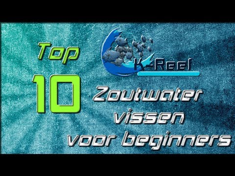 Video: Verschil Tussen Zoetwater- En Zoutwatervissen