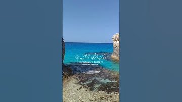 صوت يوقظ الروح بالإيمان 🔊🕌 #تلاوة_خاشعة #اكسبلور #راحة_نفسية #قرآن_كريم #تلاوات_عطرة #قرآن #ذكر_الله