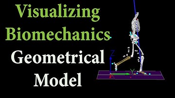 Visualizing Biomechanics | Geometrical Model | Human Gait Videos