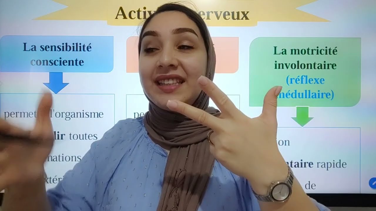 Système nerveux   SVTكيفاش تجيب 20 ف