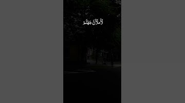 تلاوه هادئه بصوت عبد الرحمن مسعد 🖤 #قران #quran #قران_كريم #عبدالرحمن_مسعد