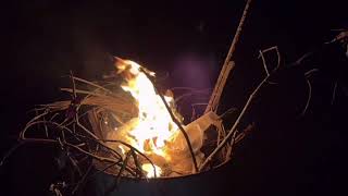 BarrelBurn Nr.1c - fire alive… (0.25x 1/4)