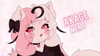 AKAGE | Animation MEME
