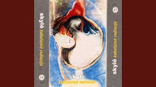 Interpiskinė stotis