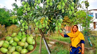 गव क जदग आम क टकर कब बड ह गए पत ह नह चल इनक दखकर खश स दल भर आत ह