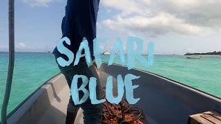 Zanzibar Tanzania Travel Safari Blue swim with Dolphins