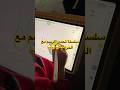 ازاي اخليها تبطل ادمان الرسم #اكسبلور #multiplayer #drawingchallenge #art #ترند #artworkout# #رسم
