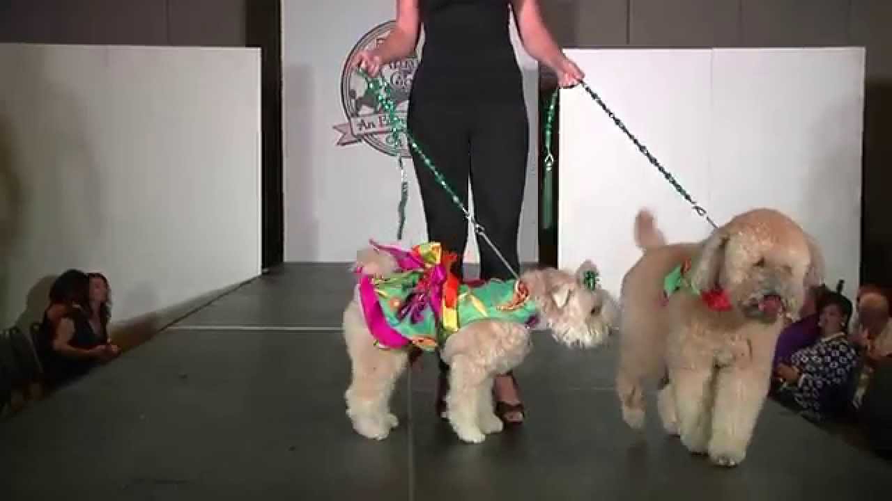 GA SPCA Doggy Fashion Show 2014 YouTube