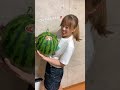 【日常】スイカが特大すぎて笑っちゃう