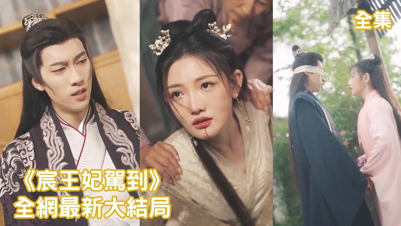 王妃的逆袭：失明王爷与失忆的小妾