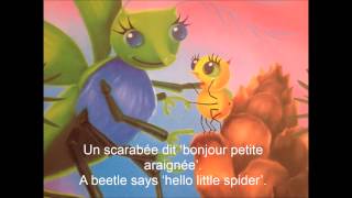 La Petite Araignée - Little Spider translation in French