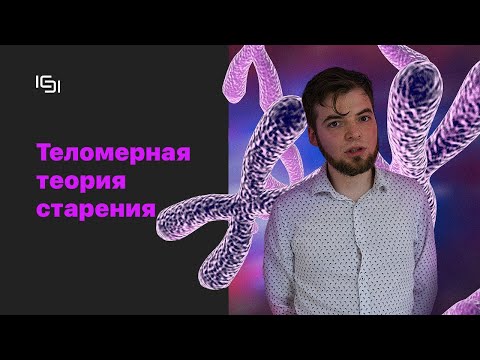 Теломерная теория старения