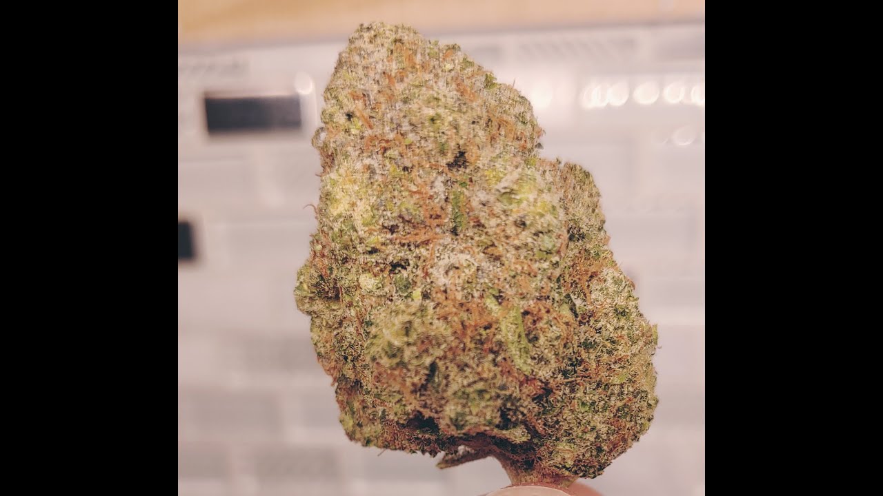 Blackjack Strain Review