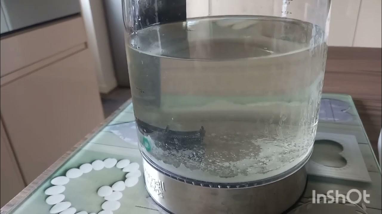 Descaling kettle using White Vinegar YouTube