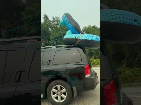Driving To The Beach in Delaware # thebeach