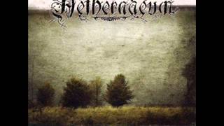 Watch Aethernaeum Waldaura video