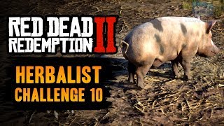 Red Dead Redemption 2 Herbalist Challenge #10 Guide - Season and cook all 11 types of meat