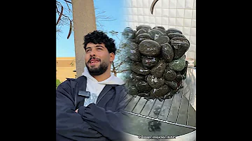 فكره جديد انت برضو نفسك في اي مفيش عاش 