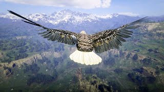 مود الصقر حلق وسافر لأي مكان في ريد ديد ريدمبشن 2 | RDR 2 Animal Eagle Mod