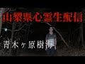 【LIVE】心霊生配信リアル肝試し·山梨県心霊スポット『青木ヶ原樹海』に長谷川を連れて来た