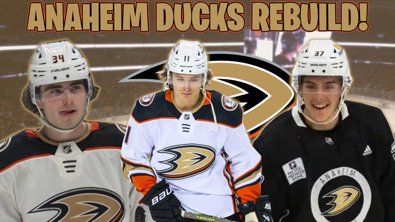  Anaheim Ducks unveil slightly mighty 30th