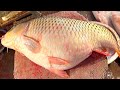 Big Carp Fish &amp; Crabs 🦀 Cutting Live In Fish Market