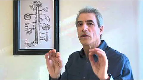 Dr. Angelo Castello's Brief Overview of Chiropractic