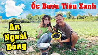 Thưởng Thức Nồi ỐC BƯƠU Nướng TIÊU XANH Ngoài Ruộng - Thạc Đức TV