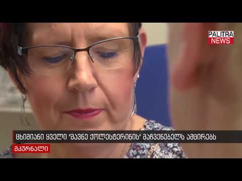 ცხიმიანი ყველი მავნე ქოლესტერინის მაჩვენებელს ამცირებს