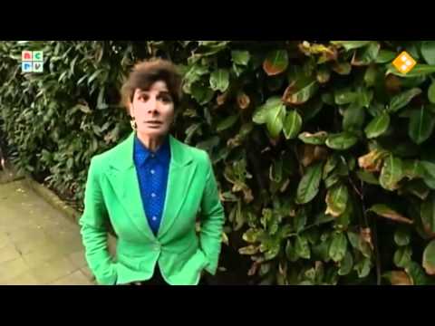 De rijdende rechter - Buren ruzie