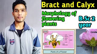 Bract and Calyx / Morphology of flowering plants B.Sc 2 year