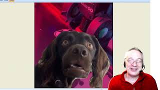 : 3D : ,  , .