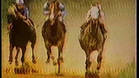 1982 Milwaukee WISN 12 Action News Promo