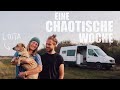 VANLIFE ZU DRITT - wir ADOPTIEREN einen STRAßENHUND | Vanlife Rumänien