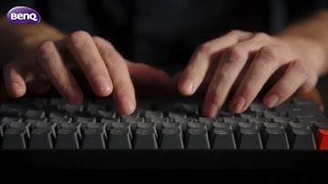 BenQ RD240Q | The Best WQXGA Monitor for Programmers and Developers