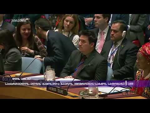 საქართველოს ელჩის გამოსვლა გაეროს უშიშროების საბჭოს სხდომაზე