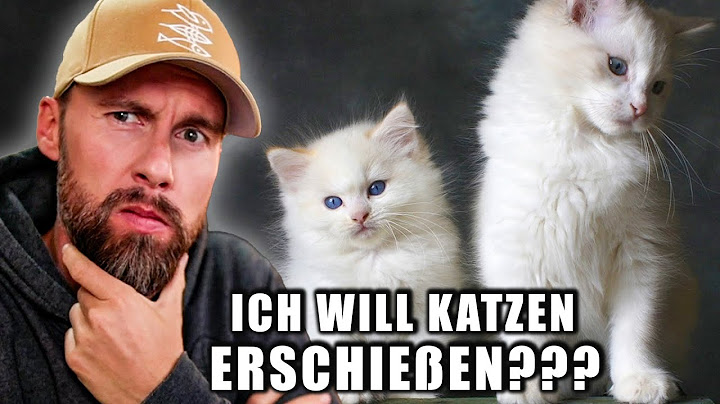 Hasse ich Katzen & bin der Meinung man sollte sie erschießen? STATEMENT zu Karim Montassers Kritik