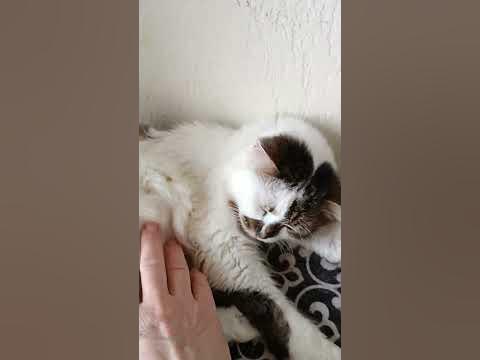 тихий час - YouTube